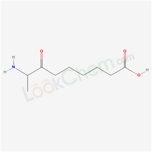8-amino-7-oxononanoic acid