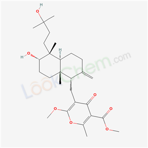 Click to see the large picture