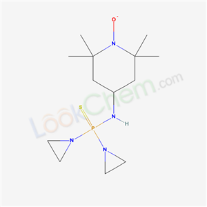 Click to see the large picture