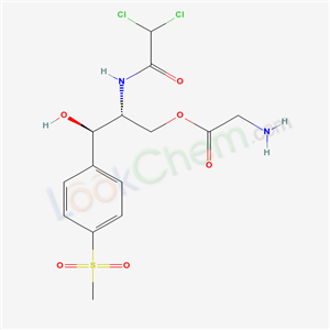 Click to see the large picture