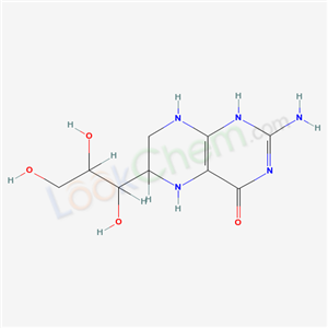 Click to see the large picture