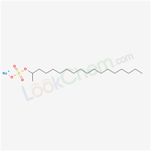 Click to see the large picture