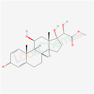 Click to see the large picture