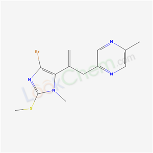 Click to see the large picture