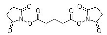 bis(2,5-dioxopyrrolidin-1-yl)glutarate
