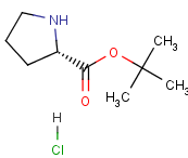 H-Pro-OtBu.HCl