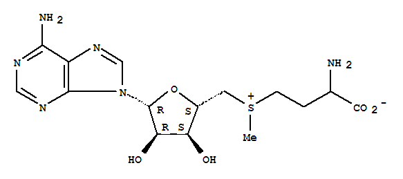 Methionine,S-adenosyl-,DL-