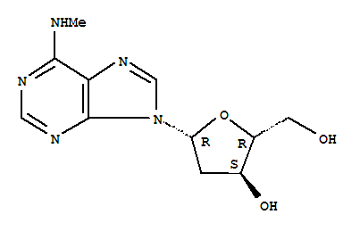 2'-Deoxy-N6-methyladenosine;N6-METHYL-2'-DEOXY-ADENOSINE