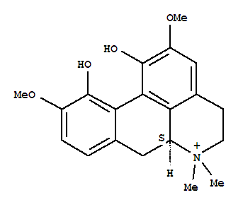 magnoflorine