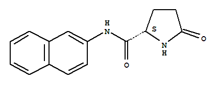 L-PYROGLUTAMICACIDBETA-NAPHTHYLAMIDE