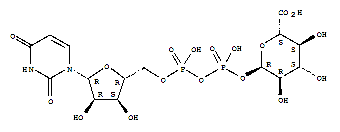 UDP-a-D-galacturonicacid