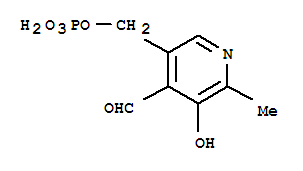 Pyridoxalphosphate