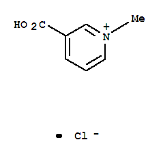 TrigonellineHydrochloride