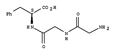 Humanβ-endorphin-(2-4)