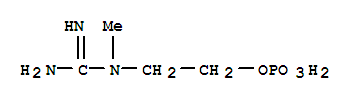 2-(1-Methylguanidino)ethyldihydrogenphosphate