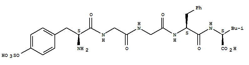 O-Sulfo-L-tyrosylglycylglycyl-L-phenylalanyl-L-leucine