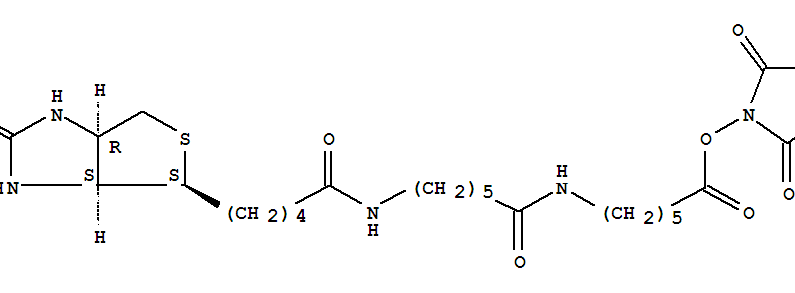 Biotin-XX-NHS