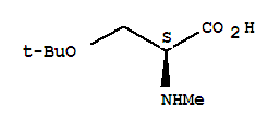 O-(1,1-Dimethylethyl)-N-methyl-L-serine