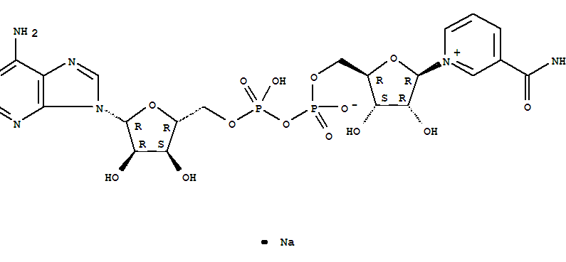 Nicotinamideadeninedinucleotide