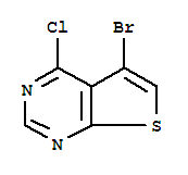 5-bromo-4-chlorothieno[2,3-d]pyrimidine