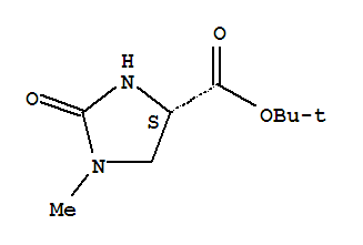 TERT-BUTYL(4S)-1-METHYL-2-OXOIMIDAZOLIDINE-4-CARBOXYLATE