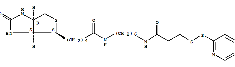 BIOTINHPDP