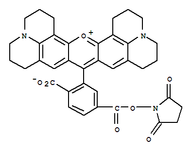 6-CARBOXY-X-RHODAMINEN-SUCCINIMIDYLESTER