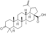 Betulonicacid