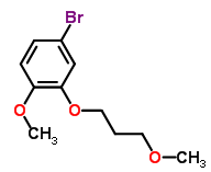 4-Bromo-1-methoxy-2-(3-methoxy-propoxy)-benzene