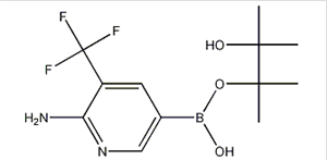 2-Amino-3-(trifluoromethyl)pyridine-5-boronicacidpinacolester