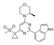 AZ20;1H-Indole,4-[4-[(3R)-3-methyl-4-morpholinyl]-6-[1-(methylsulfonyl)cyclopropyl]-2-pyrimidinyl]-