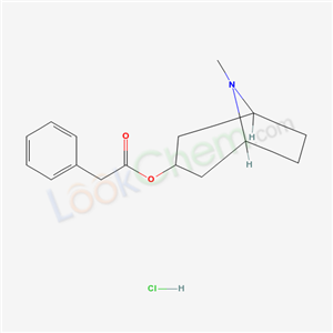 8-methyl-8-azabicyclo[3.2.1]oct-3-yl phenylacetate hydrochloride (1:1)