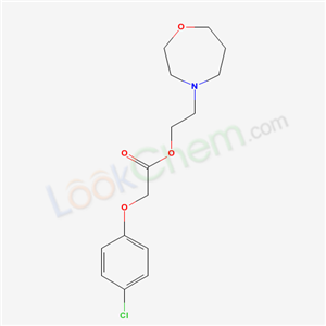 Click to see the large picture