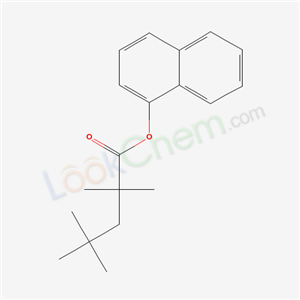 Click to see the large picture