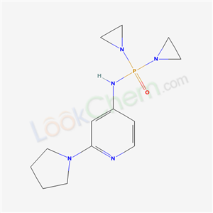 Click to see the large picture