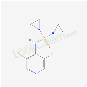 Click to see the large picture