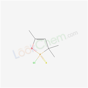 Click to see the large picture