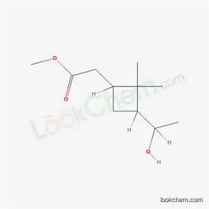 Molecular Structure of 61612-37-1 (methyl [3-(1-hydroxyethyl)-2,2-dimethylcyclobutyl]acetate)