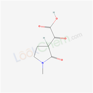 2-(1-methyl-2-oxo-pyrrolidin-3-yl)-2-oxo-acetic acid