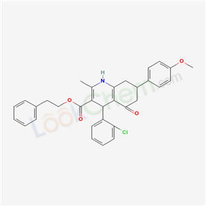 Click to see the large picture