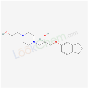 Click to see the large picture