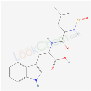 Click to see the large picture