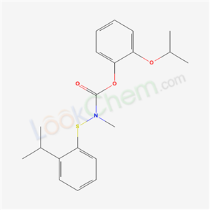 Click to see the large picture