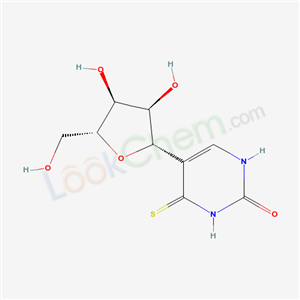 Click to see the large picture