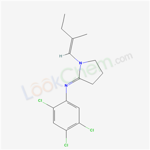 Click to see the large picture