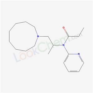 Click to see the large picture