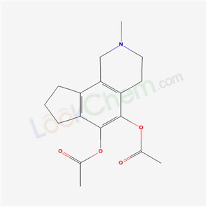 Click to see the large picture