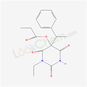 Click to see the large picture