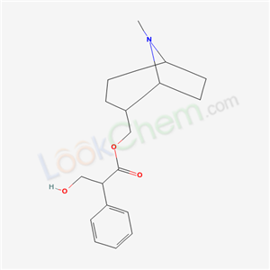 Click to see the large picture