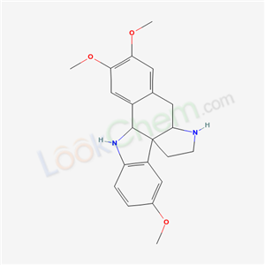 Click to see the large picture